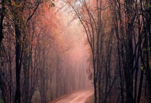 欧博官方网站:辽宁逆转送宁波7连败!弗格34+6赵继伟11+12.