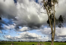 欧博官方网站：巴萨全队泡澡庆祝：75天18场不败+少赛1场仍力压皇马 弗里克封神.